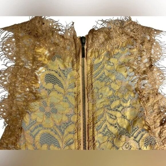 Zara Beige Lace Sleeveless Crop Top - Picture 4 of 5